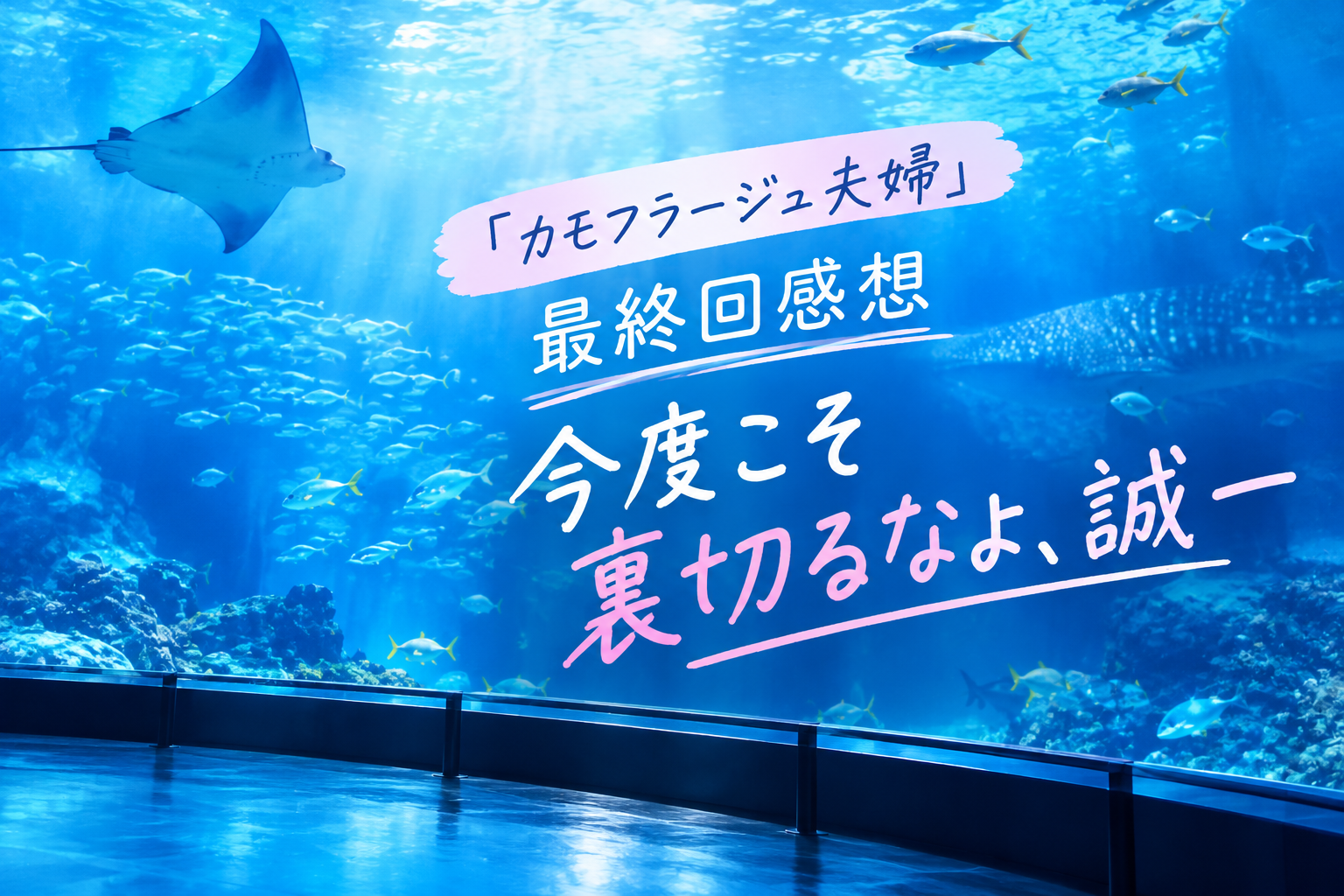 もう一度夫婦になりますか？カモフラージュ夫婦最終回感想